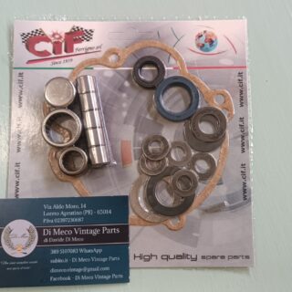 Kit revisione mozzo posteriore (Con Variatore)
