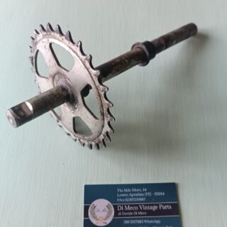 Asse pedale Piaggio Bravo - Usato