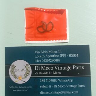 Coppia Seeger spinotto 10